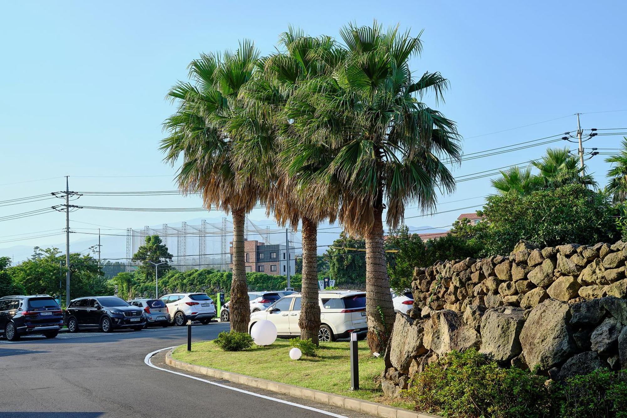 Shin Shin Hotel Jeju City Exterior photo